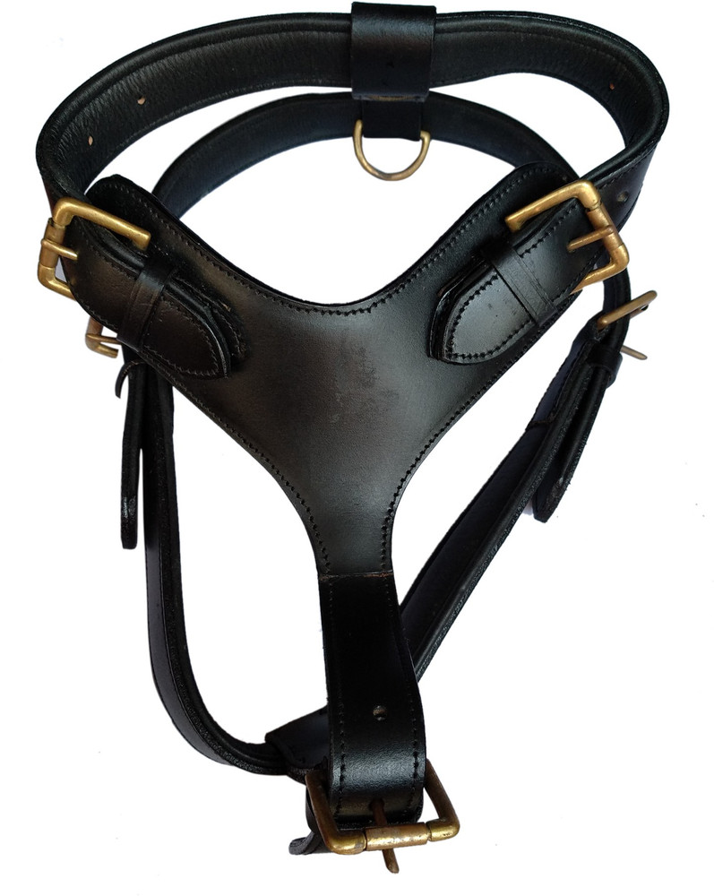 SAWAY Export Guanine Leather Dog Body Belt Brass Fitting Leather Rope Extra Large Dog Harness Leash Price in India Buy SAWAY Export Guanine Leather Dog Body Belt Brass Fitting Leather