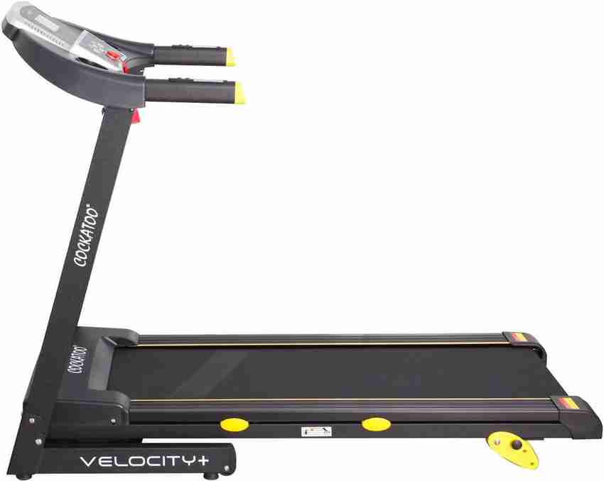Cockatoo velocity 2025 plus treadmill