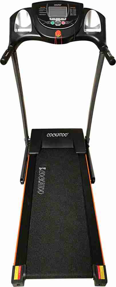 Cockatoo velocity plus treadmill best sale