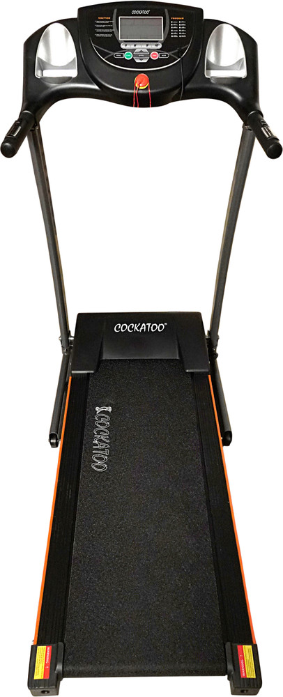 Cockatoo velocity plus treadmill outlet