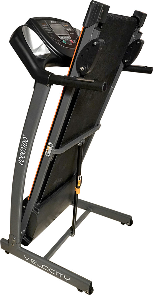 Cockatoo velocity plus treadmill best sale