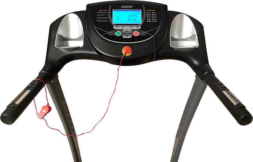 Cockatoo velocity plus treadmill best sale