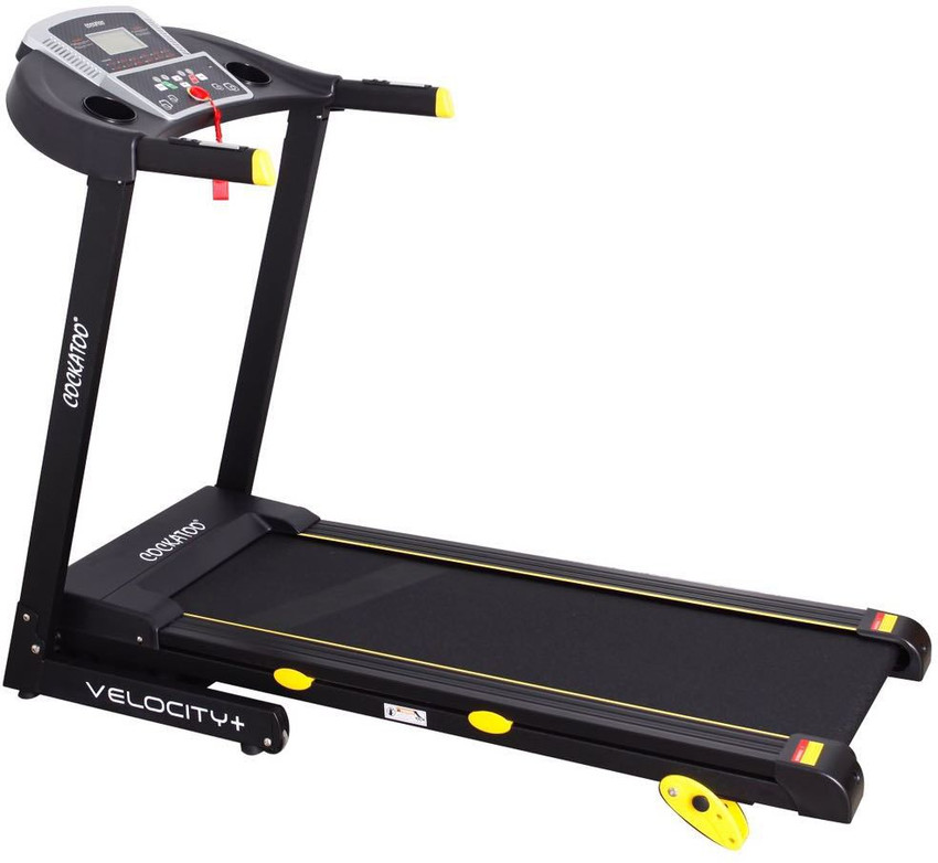 Cockatoo velocity 2025 plus treadmill