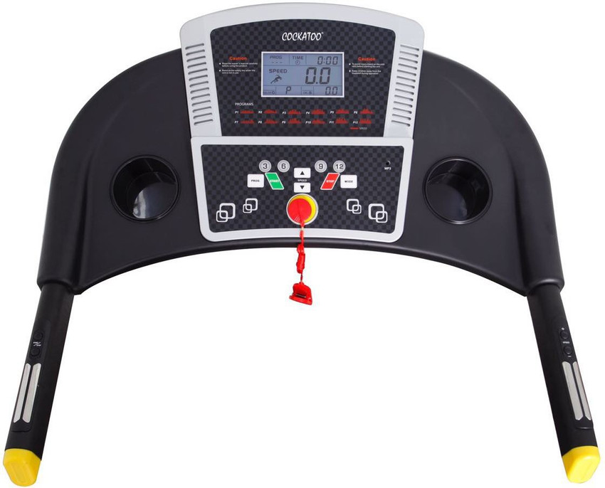 Cockatoo velocity sales plus treadmill