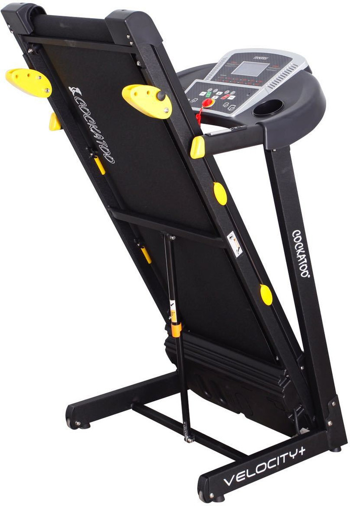 Cockatoo velocity plus treadmill outlet