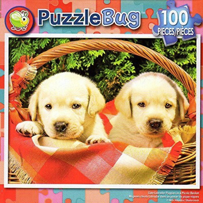 https://rukminim2.flixcart.com/image/850/1000/jo4n4i80/puzzle/5/h/d/100-cute-labrador-puppies-in-picnic-bascket-puzzlebug-100-piece-original-imafanm3v5aesjgb.jpeg?q=90