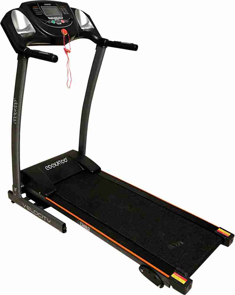 Cockatoo velocity plus sale treadmill