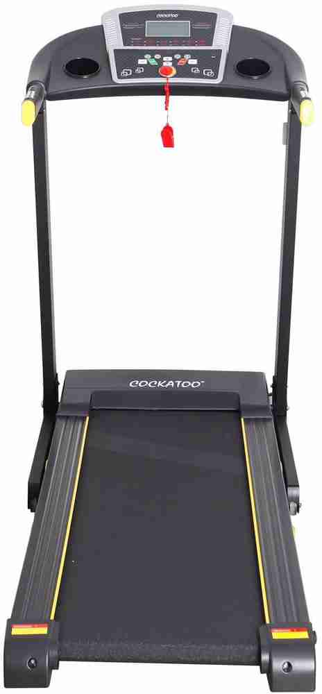 Cockatoo velocity plus treadmill sale