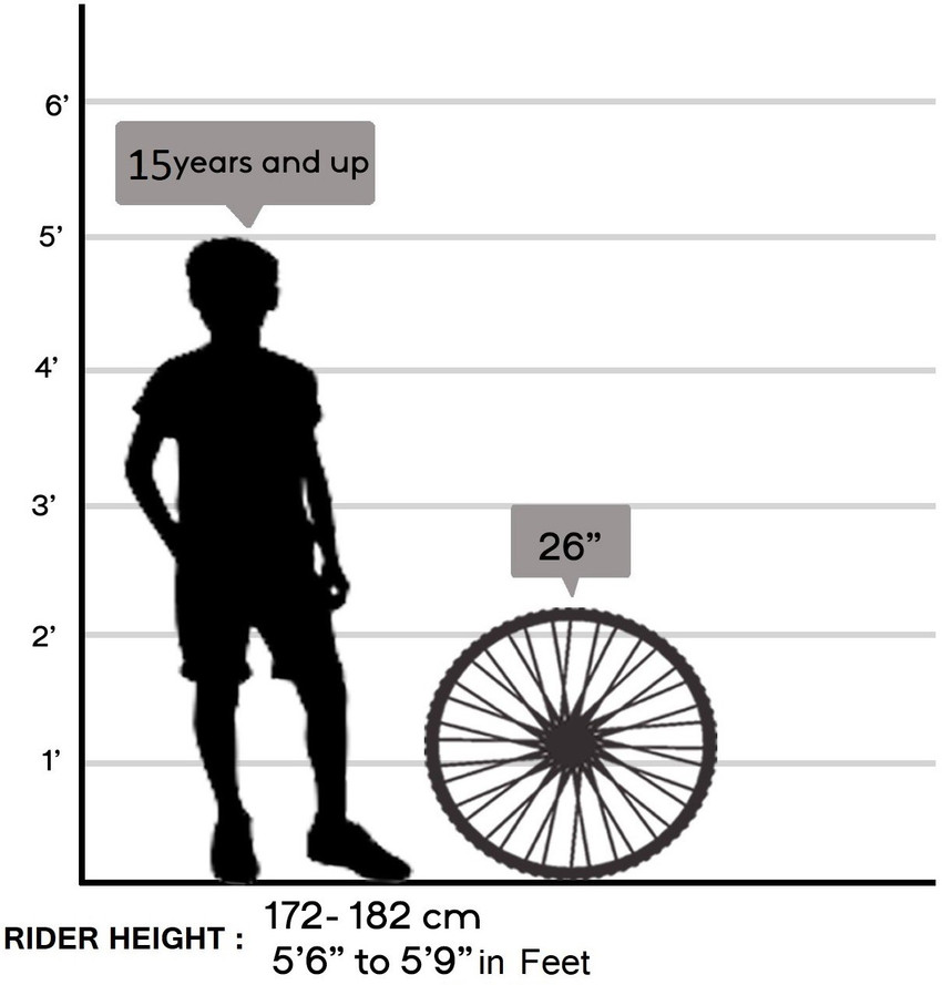 Hero street shop racer cycle price