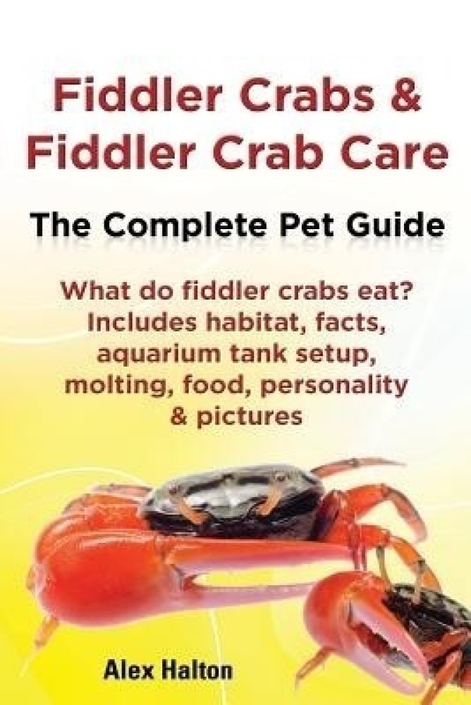 Fiddler Crabs & Fiddler Crab Care. Complete Pet Guide. What do fiddler crabs  eat? Includes habitat, facts, aquarium tank setup, molting, food,  personality & pictures: Buy Fiddler Crabs & Fiddler Crab Care.