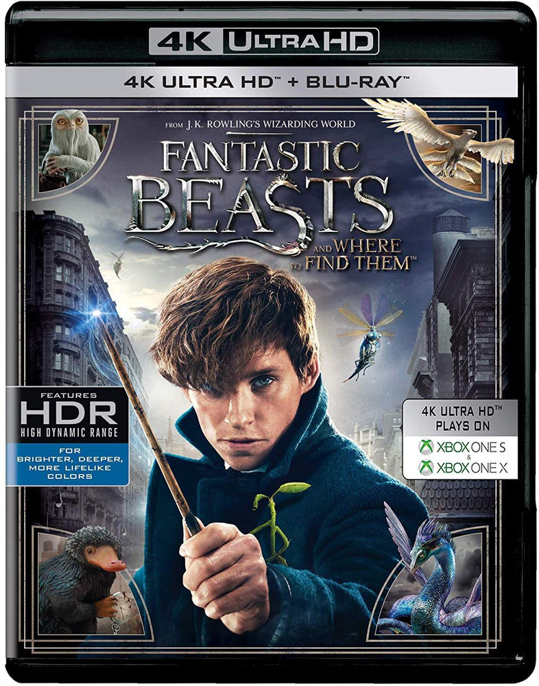 Fantastic Beasts and Where to Find Them 4K UHD HD 2 Disc Price in India Buy Fantastic Beasts and Where to Find Them 4K UHD HD 2 Disc online at Flipkart