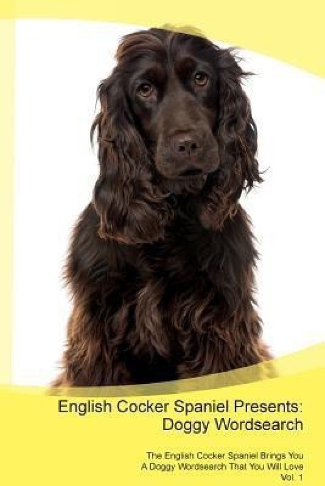 Cocker 2024 spaniel presents