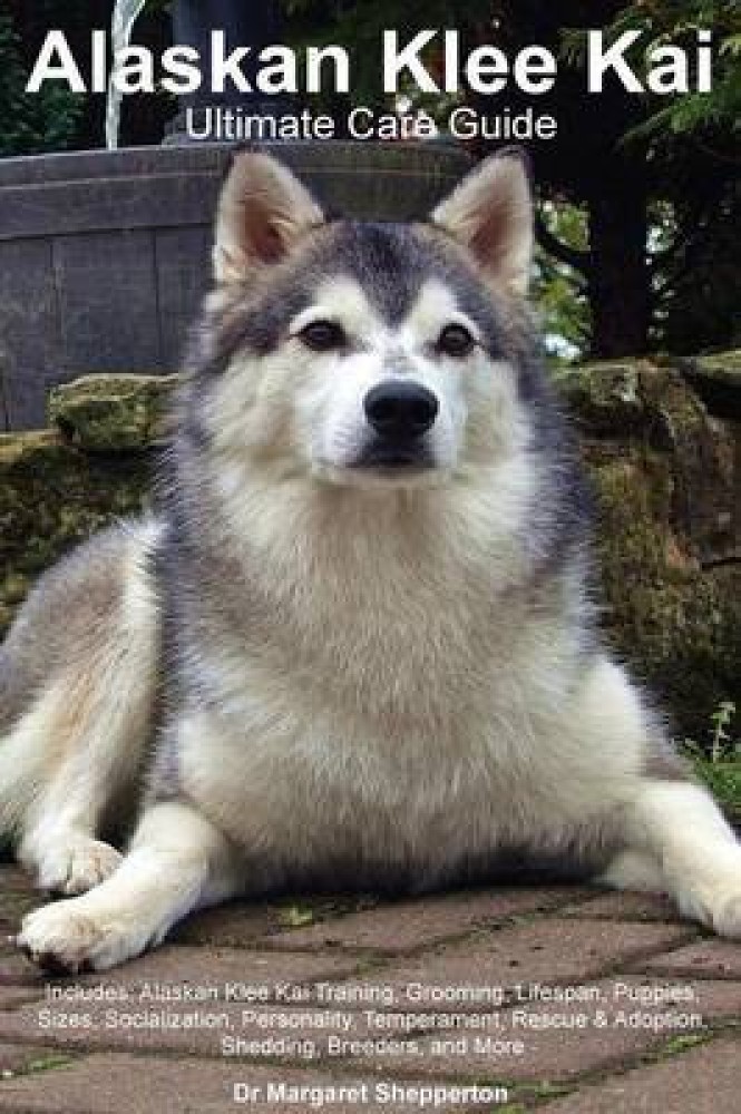 Alaskan Klee Kai - Price, Temperament, Life span