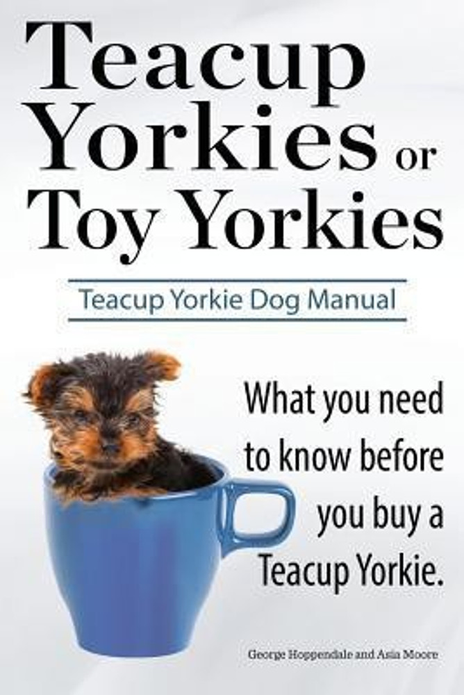 Yorkies to shop buy