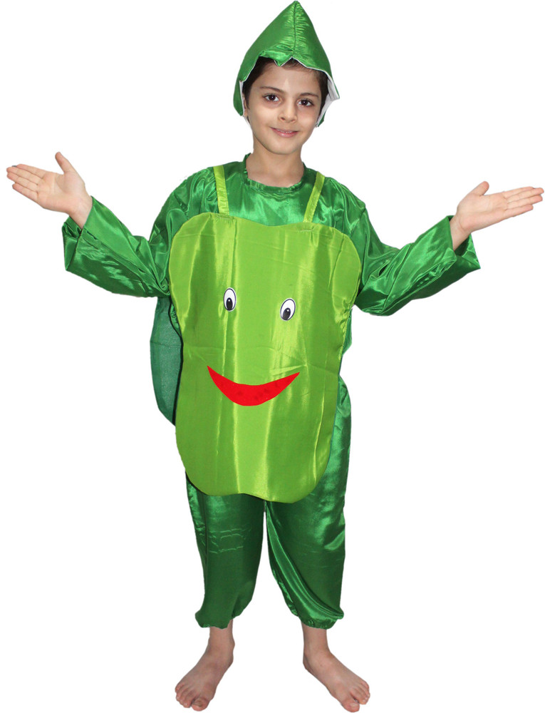Fancy dress for 4 year boy top