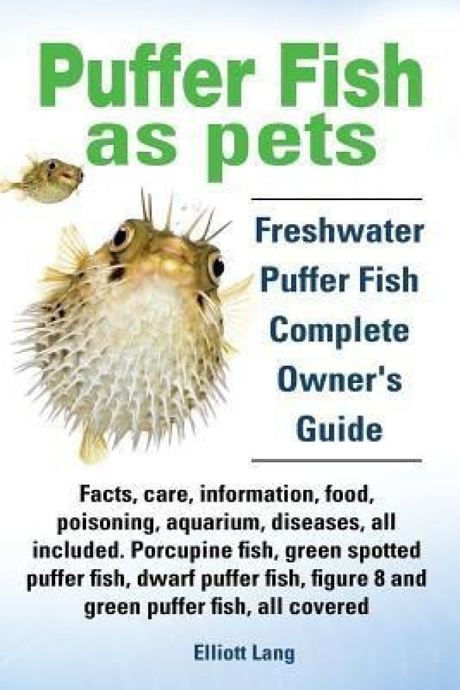 Freshwater puffer shop fish price