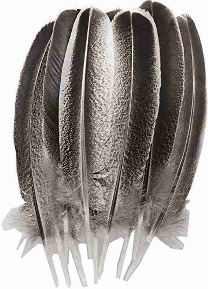 WAKEACE Turkey Feathers 10 Pieces Natural Color Discount Wholesale