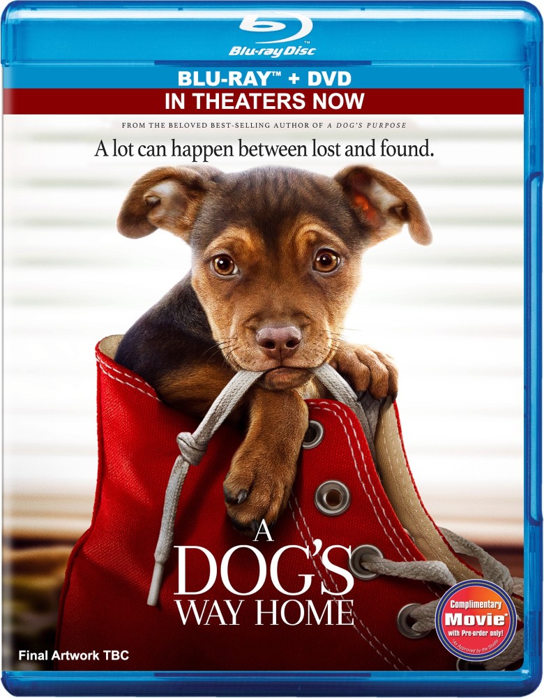 A Dog s Way Home Blu ray DVD Price in India Buy A Dog s Way