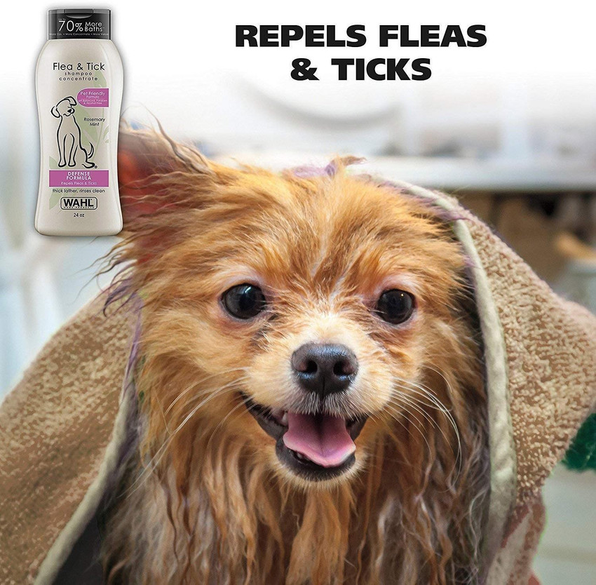Rosemary and fleas online