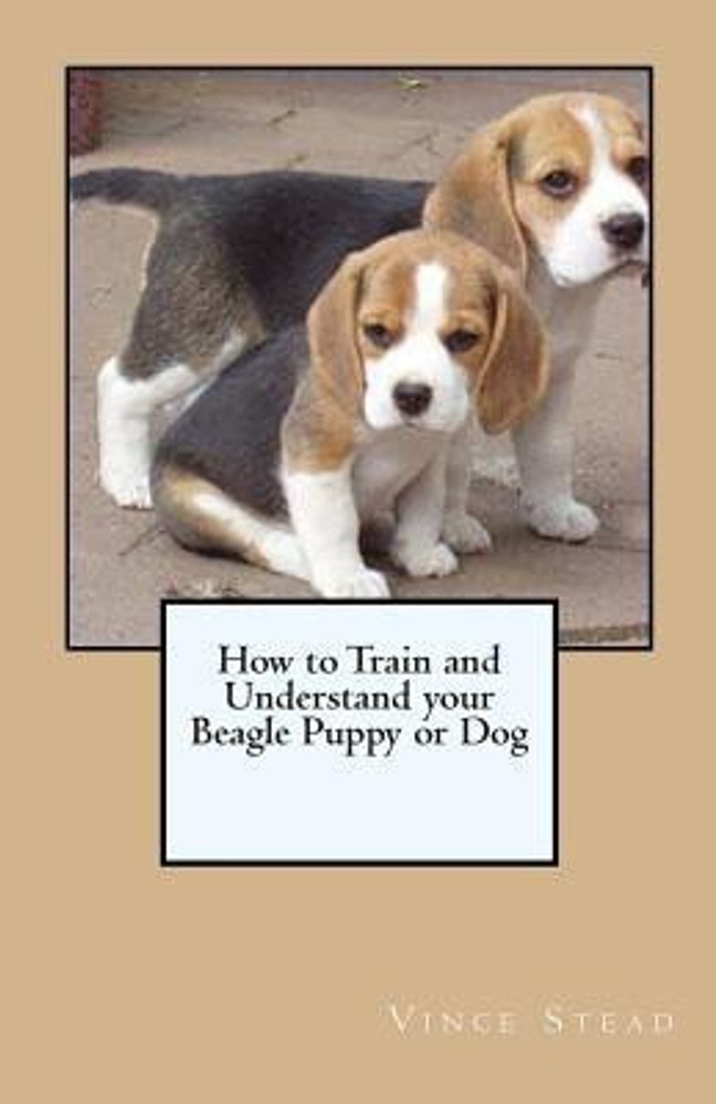 How to train your beagle store puppy
