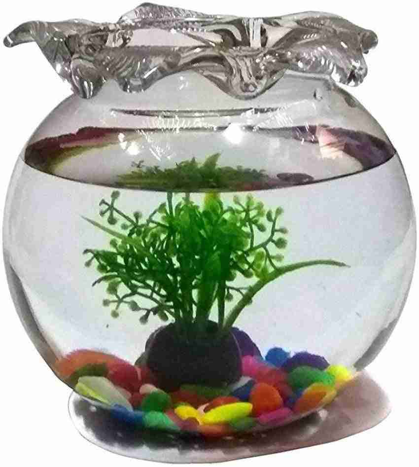 GLAMOROUS 5 L Fish Bowl Price in India Buy GLAMOROUS 5 L Fish Bowl online at Flipkart
