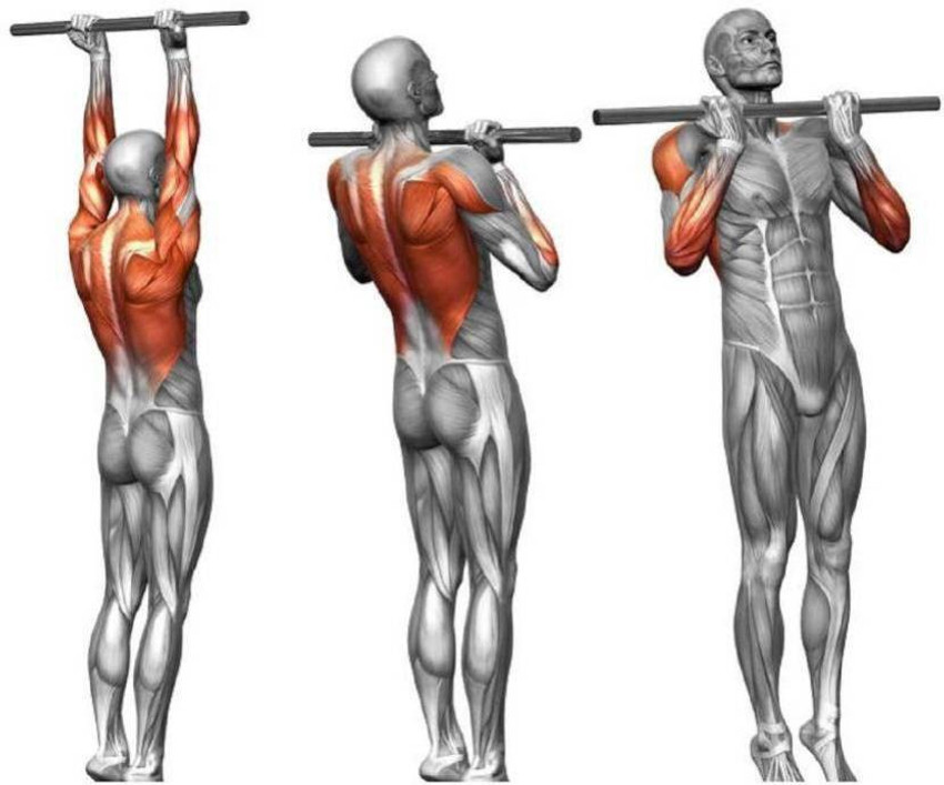 NV COLLECTION Chin up pull up Height Increasing and Exercise