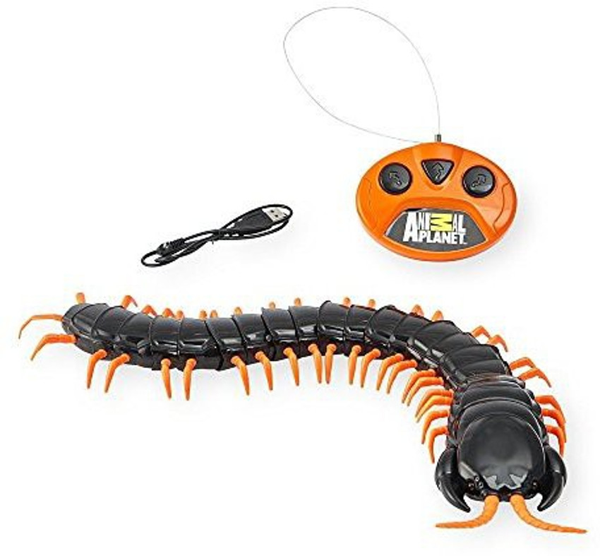 Remote control centipede store