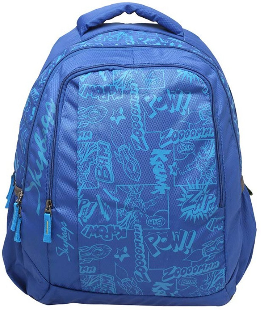 Flipkart top sky bag