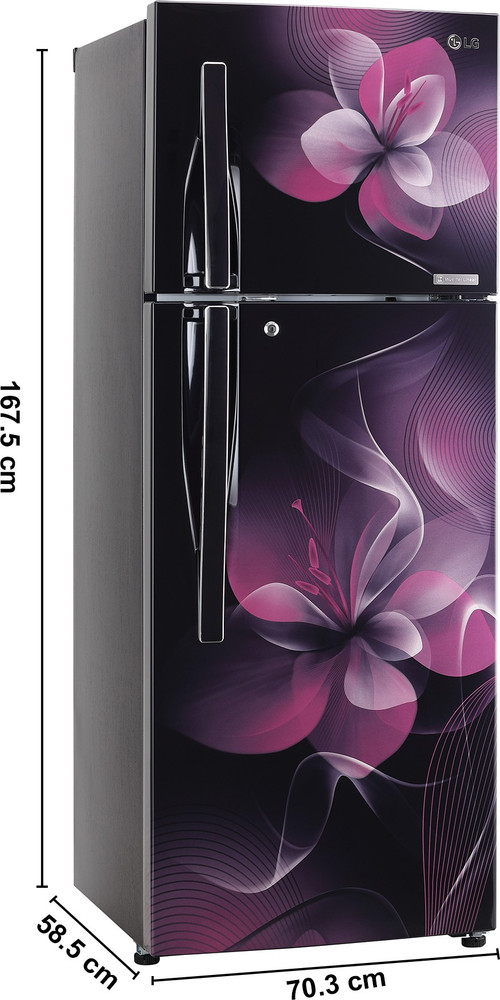 LG 284 L Frost Free Double Door 2 Star Refrigerator Online at Best