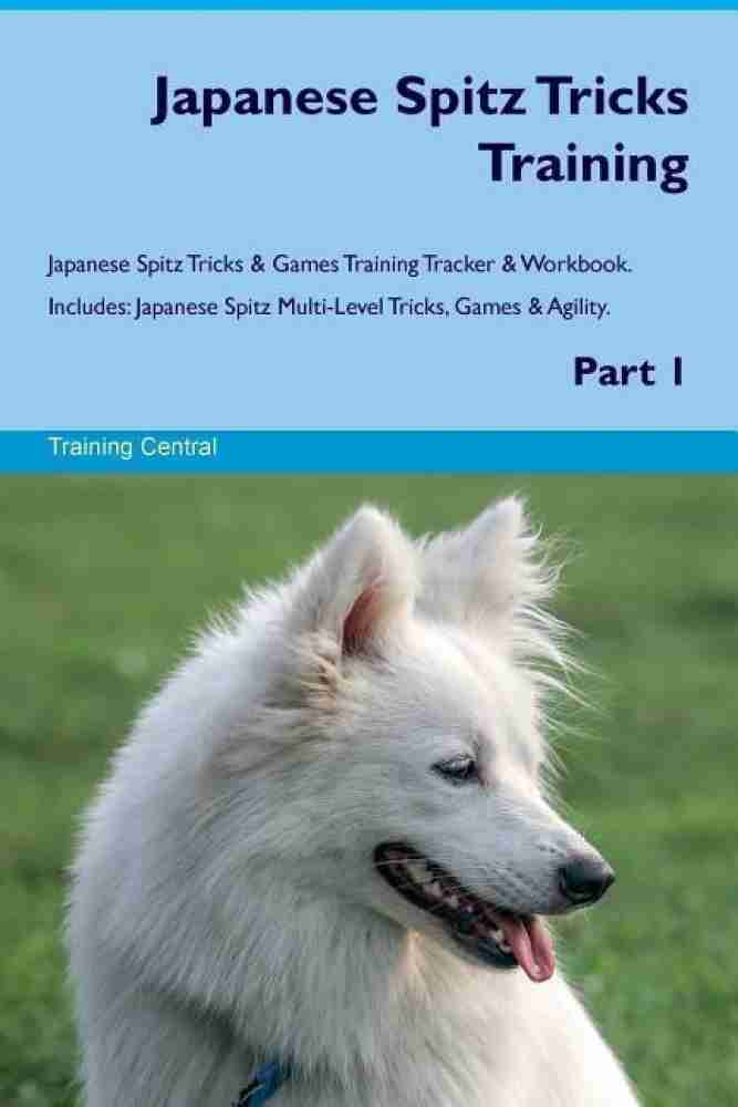 Japanese best sale spitz training