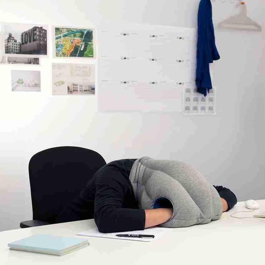 AweStuffs Imported Travel Power Nap Head and Neck Support Ostrich