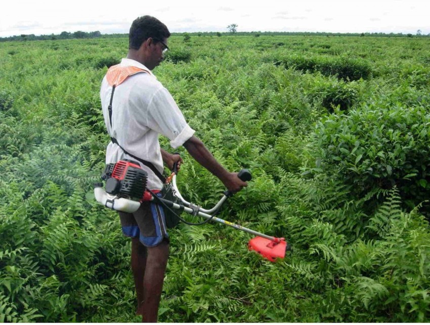 Grass cutting outlet machine for agriculture