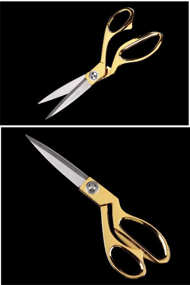 Quinergys Design Scissor for Cutting Border,Photo