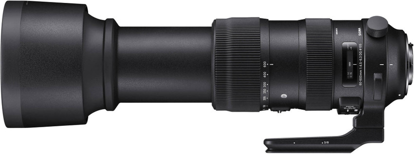 SIGMA 60-600mm f/4.5-6.3 DG OS HSM Sports for Nikon Dslr Cammeras 