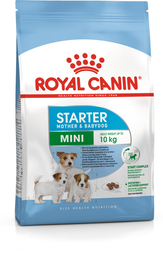 Royal canin maxi on sale starter for labrador puppy