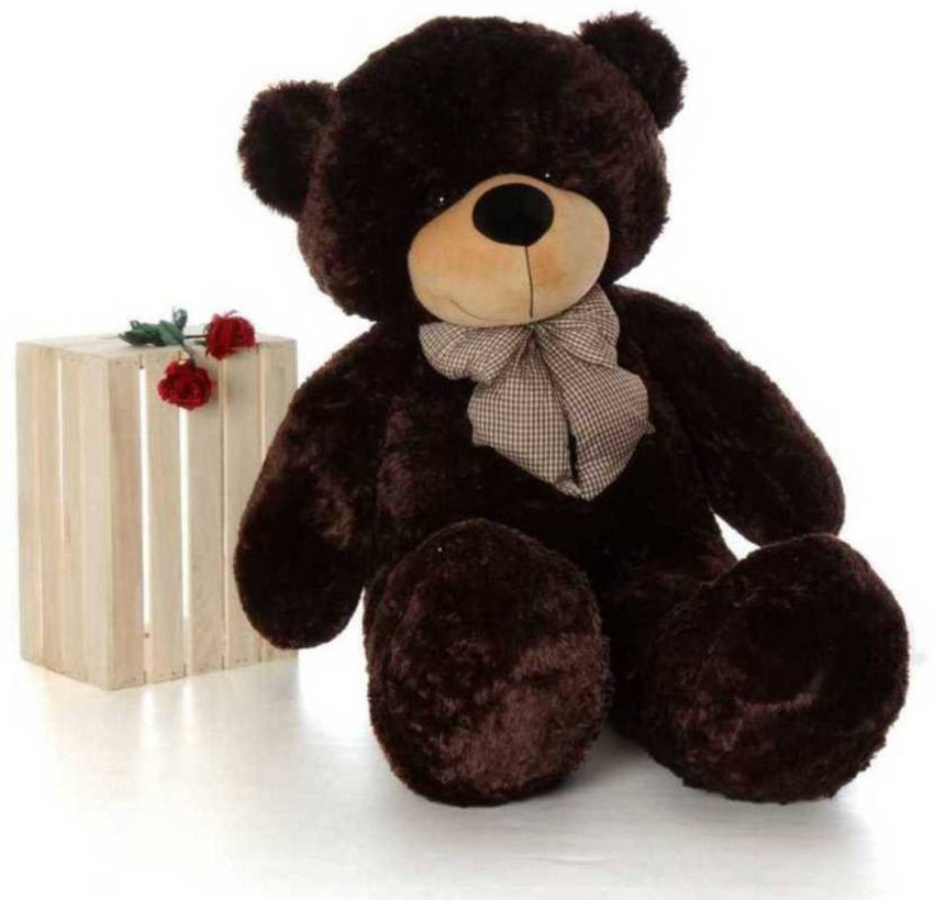 Black colour teddy bear 2025