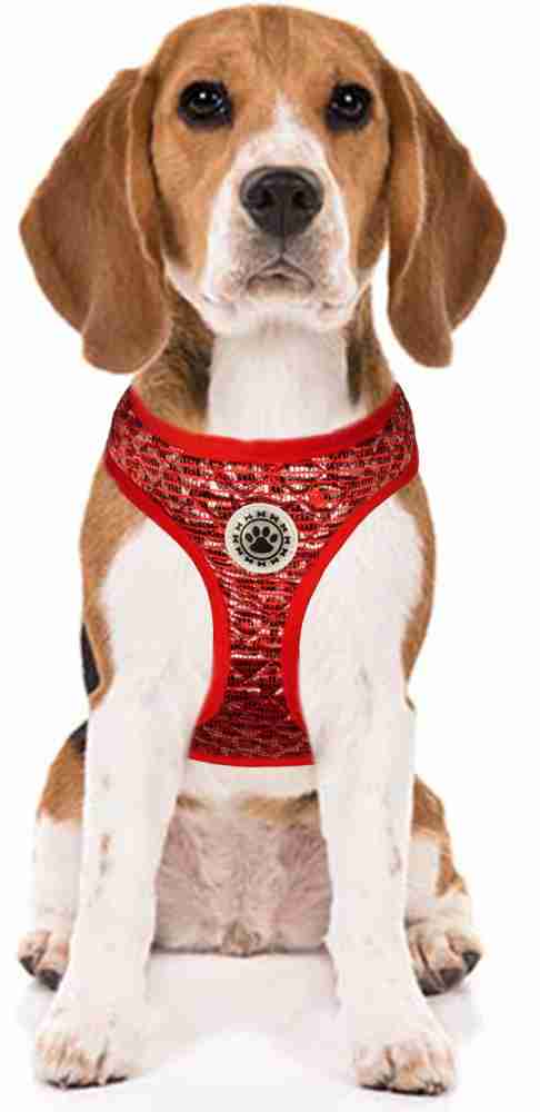 Pet love outlet harness