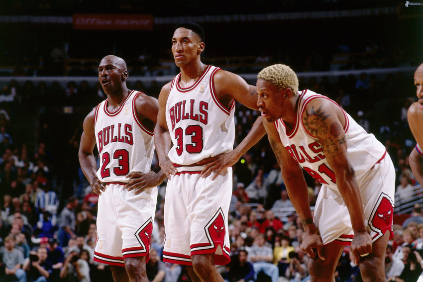 Dennis rodman best sale on michael jordan