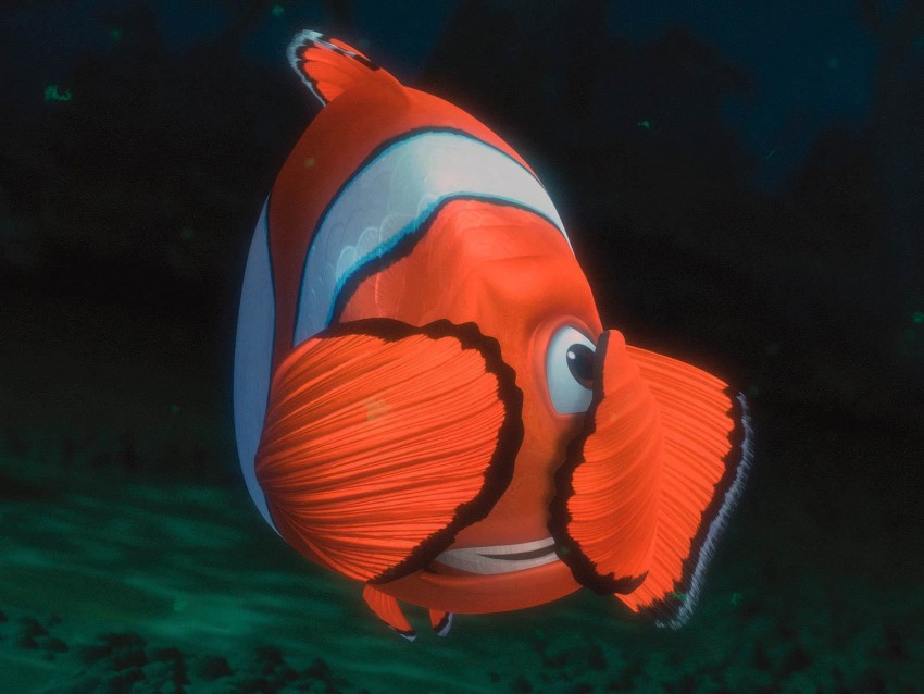 Alla ricerca di Nemo sfondo hd