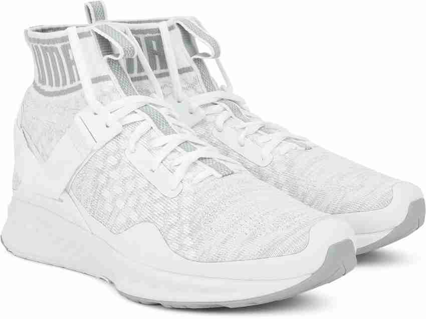 PUMA IGNITE evoKNIT Training Gym Shoes For Men Buy PUMA IGNITE