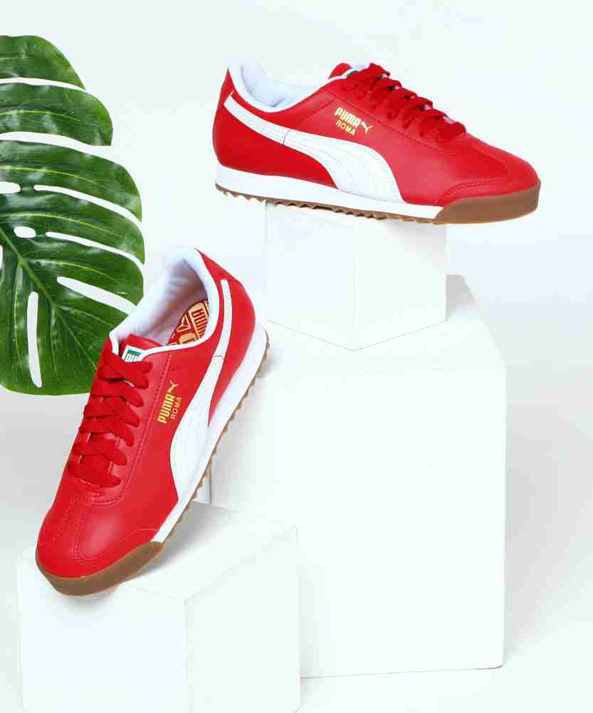 cheap puma roma