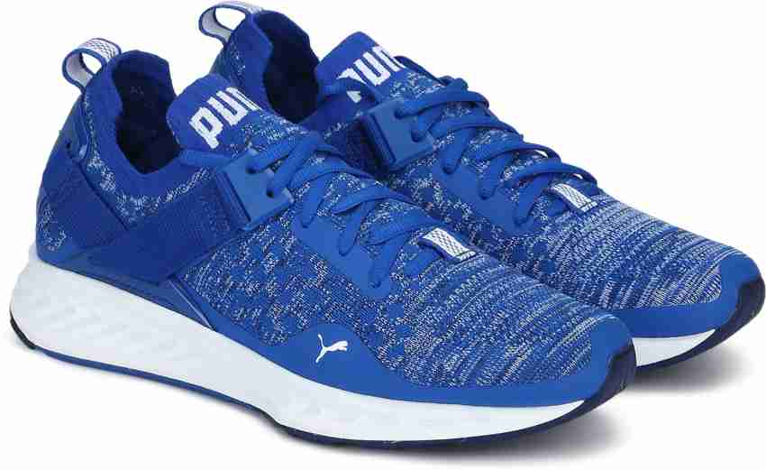 Puma ignite sales evoknit 3 blue