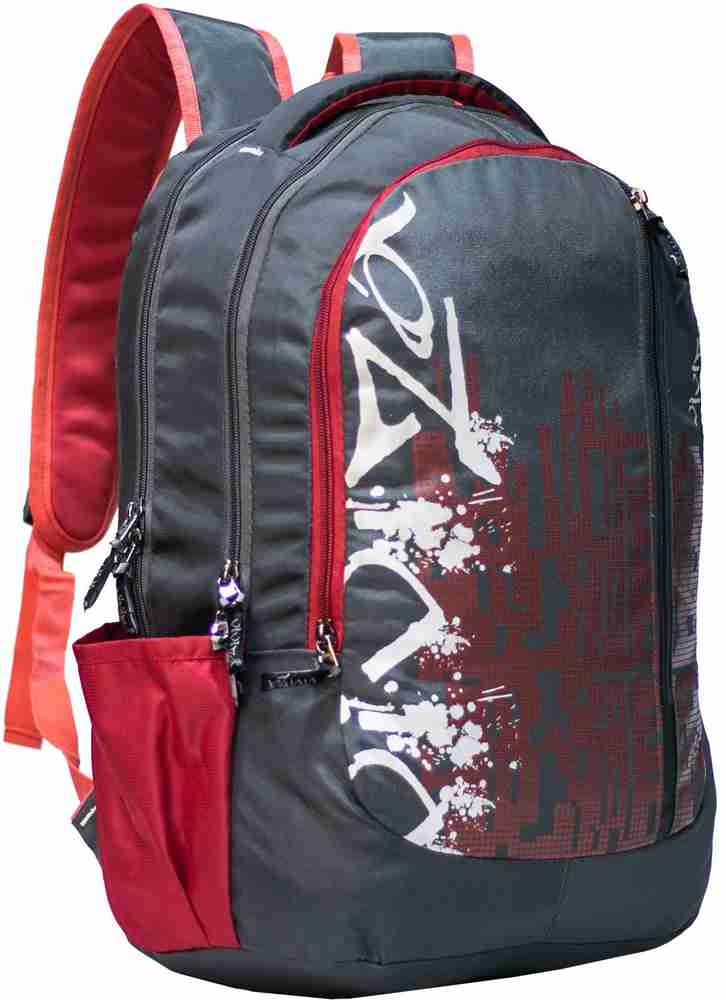 Flipkart Viviza School Bag for 15 Year boy and Girl Grey School Bag Waterproof School Bag School Bag