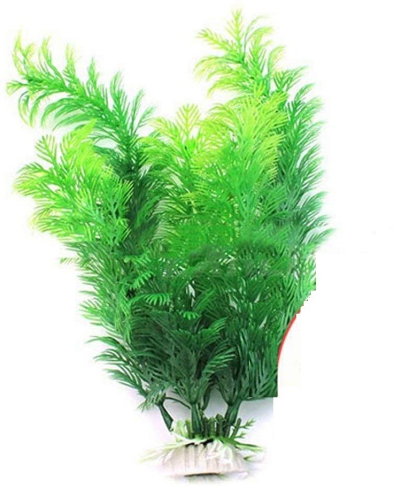 3pcs Fish Tank Artificial Seaweed at Low Price Buy Online