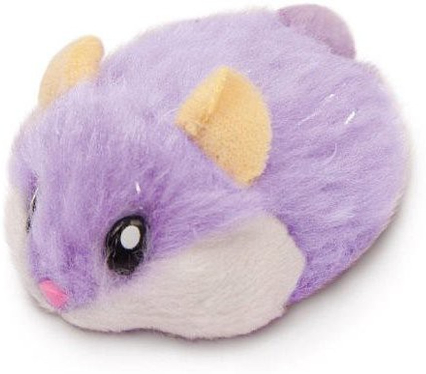 Hamsters in a house supermarket top