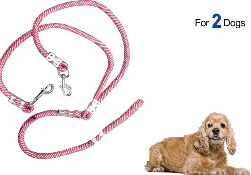 Best double leash for clearance dogs