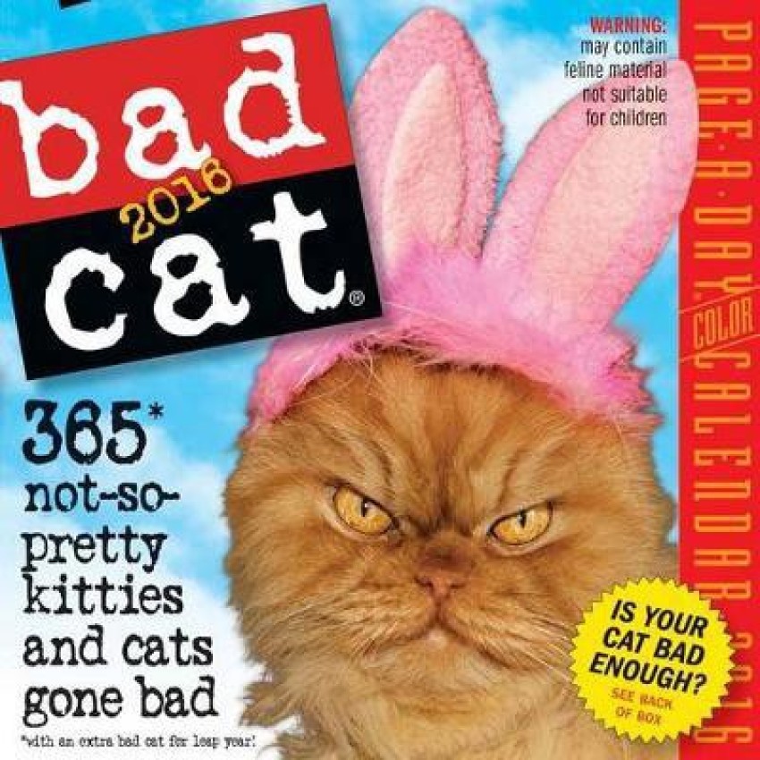 Cats Gone Bad Book