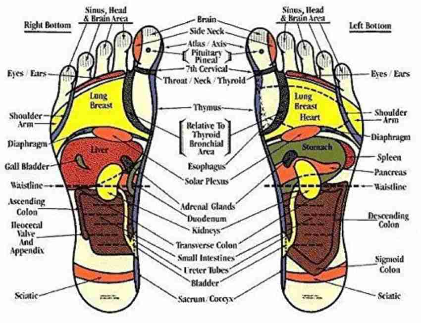 Cure18 Health Care Height Increase Device for Men and Women