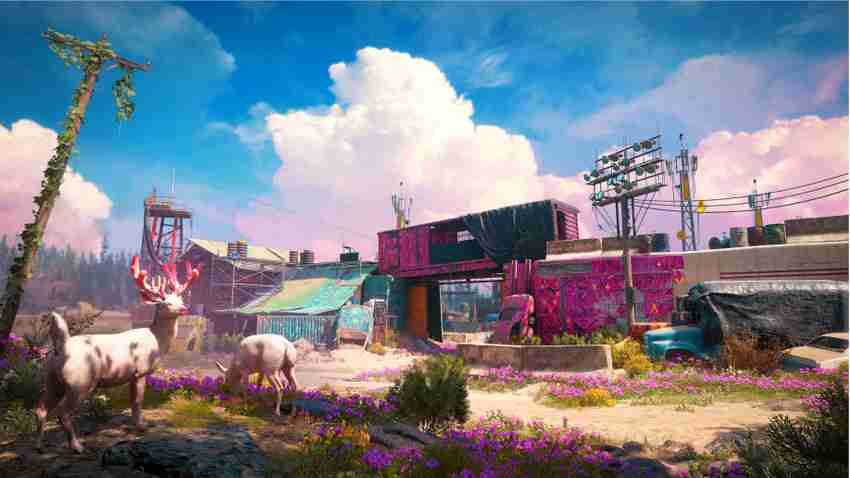 Far cry new on sale dawn superbloom edition