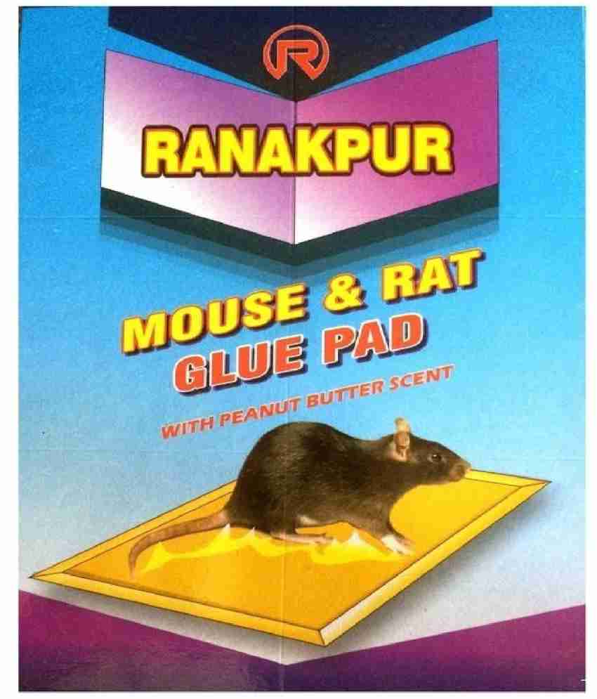 https://rukminim2.flixcart.com/image/850/1000/js0o9zk0/rat-trap/7/x/g/mouse-rat-trap-with-peanut-butter-scent-rat-catcher-without-original-imafdzzgasbumjfx.jpeg?q=20